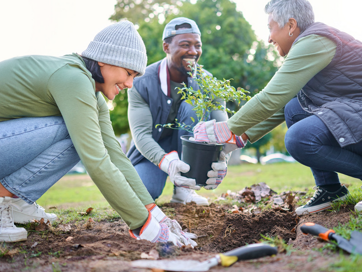 People gardening