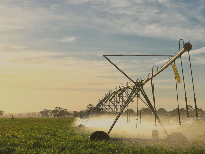 irrigation system at sunset