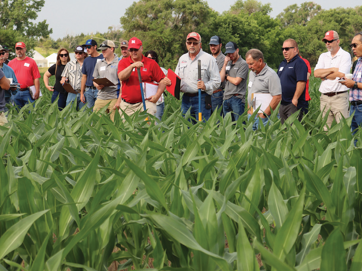 Ag Producers in Corn Field