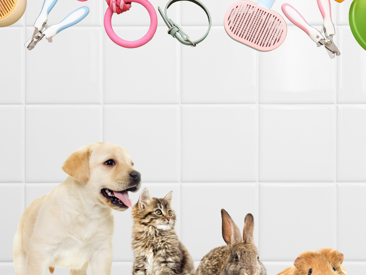 Pet grooming tools above a puppy, kitten, rabbit, and guinea pig against a tiled background.