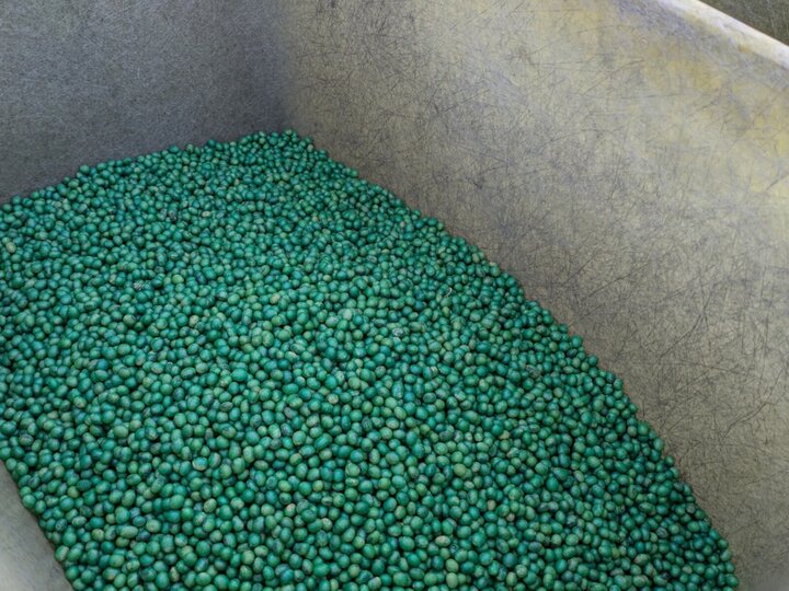 Cutting an insecticide, fungicide, or combination seed treatment can save growers $13.72/ac to $29/ac, depending on seed treatment product and seeding rate. 