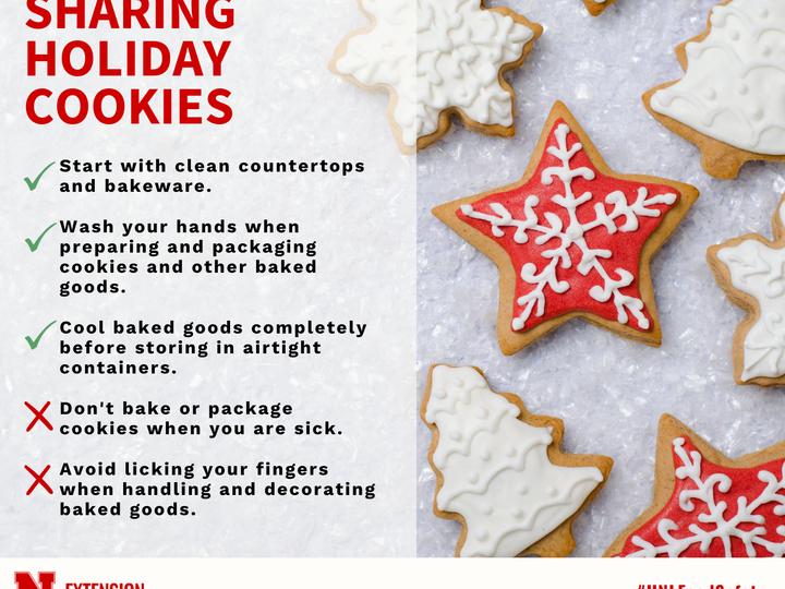 Food Safety - Christmas Cookies
