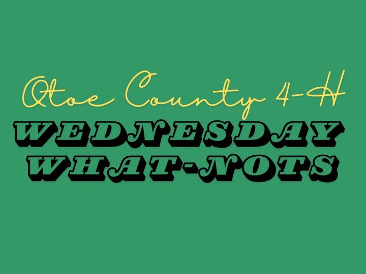 Otoe County 4-H Wednesday What-Nots