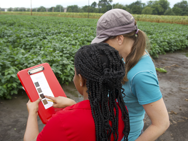 Two women inspecting a clipboard in a lush green agricultural field.