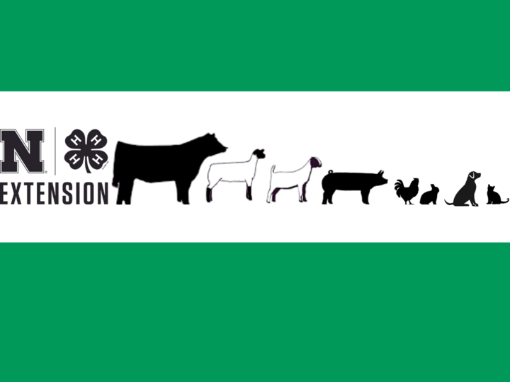 SP-Livestock