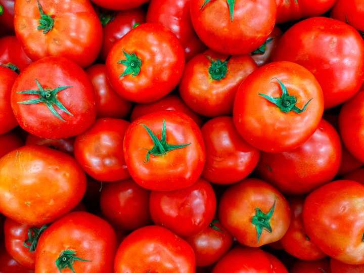 Beautiful red tomatoes