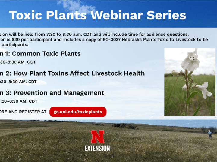 Knox County Toxic Plants Webinar Series