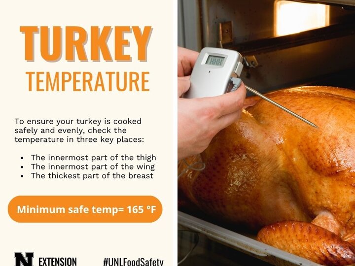 Turkey safe temp 