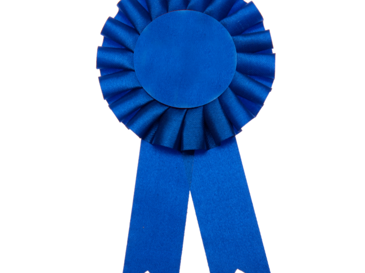 Blue rosette ribbon on a white background