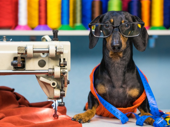 Dachshund with glasses sits at sewing machine with fabric, measuring tape, and colorful spools.