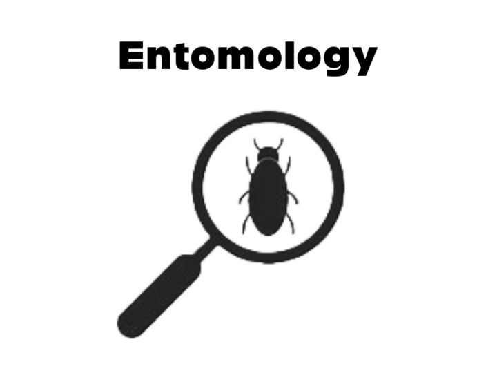 Entomology