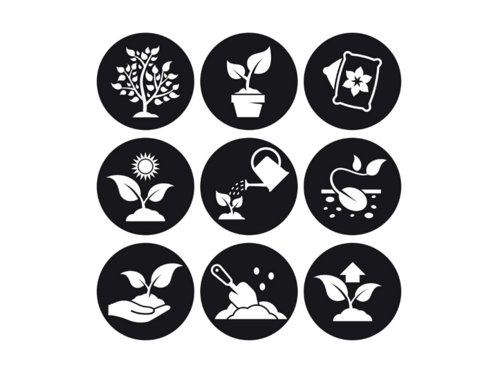 PLANT SCIENCE