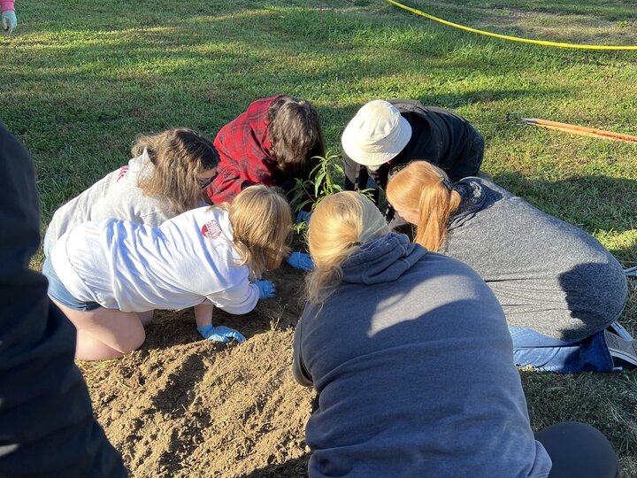 youth and adults on ground planting a tree