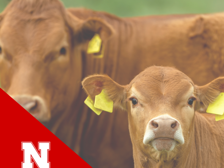 Livestock Systems Web Icon Image