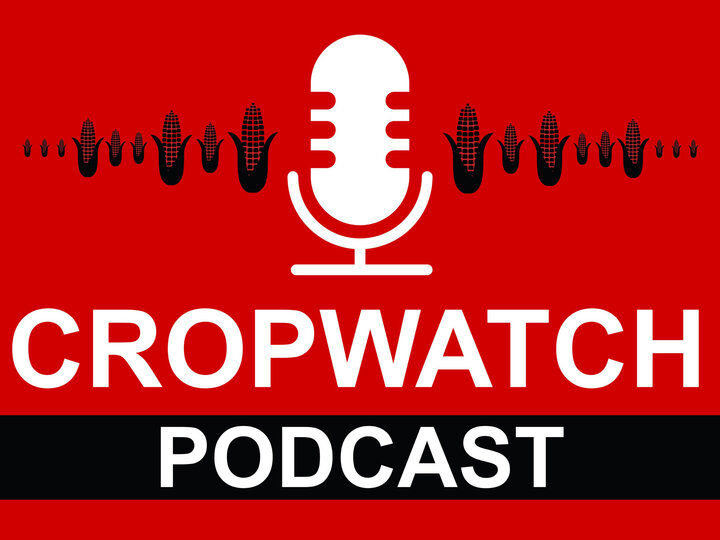 Red graphic logo with a white microphone, corn icons, and text "CropWatch Podcast, Extension, N".