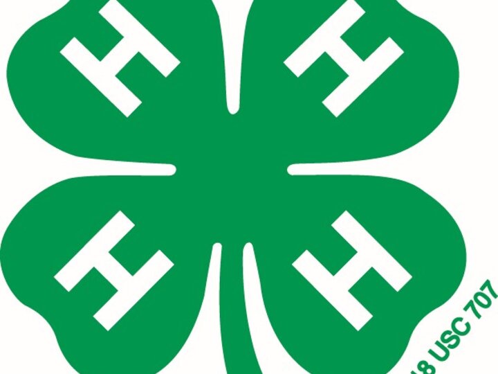 Green four-leaf clover with an "H" on each leaf and "18 USC 707" written below.