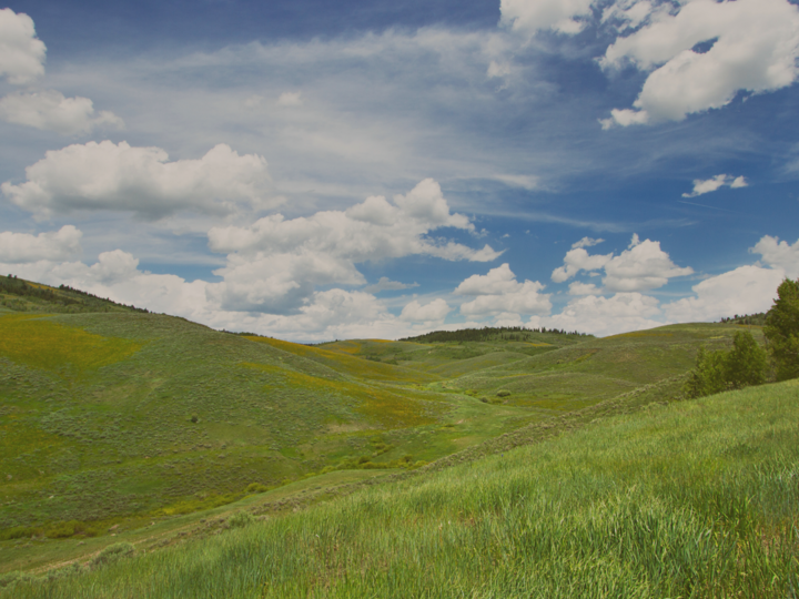 knowing growing and grazing grass webinars