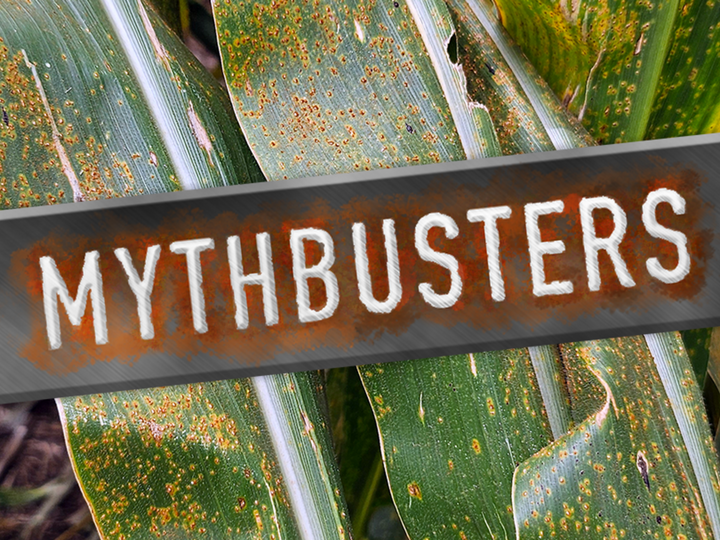 Southern Rust Mythbusters. 
