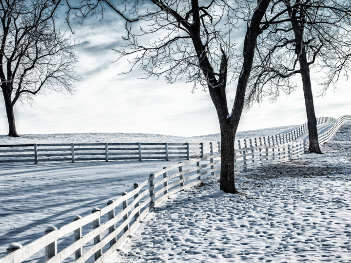 Fence-lined road in the winter
