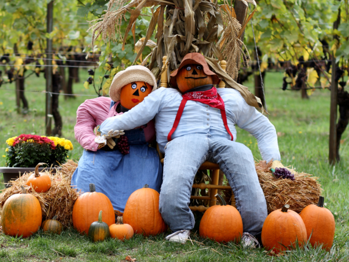 Pumpkin People made out of straw-stuffed clothes