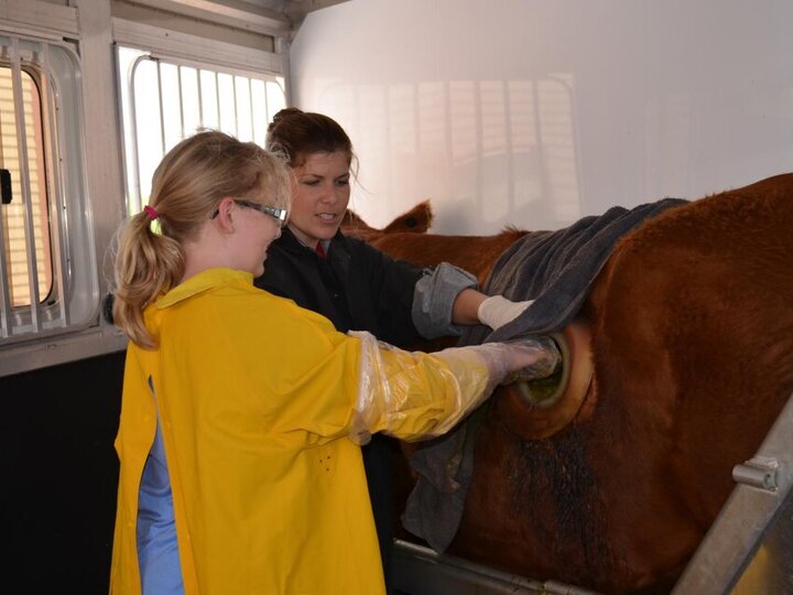 Rachel Slattery demonstrating beef nutrition with youth. 