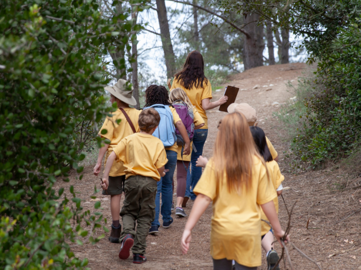 A group of youth led my instructor exploring a trail in the woods at summer camp