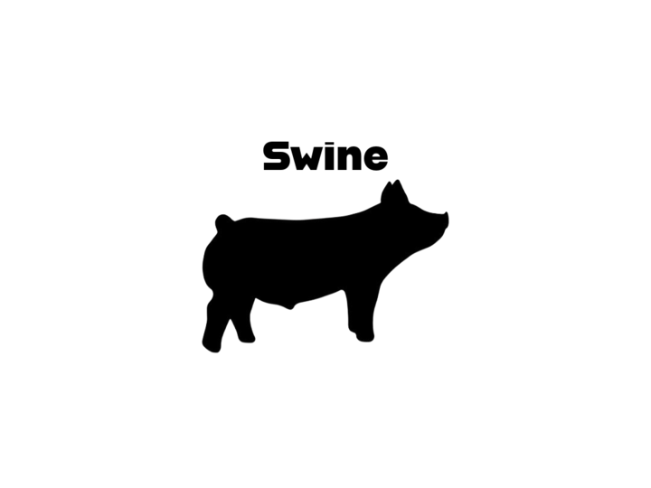 Swine