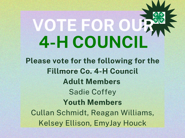 Fillmore County 4-H Council Voting