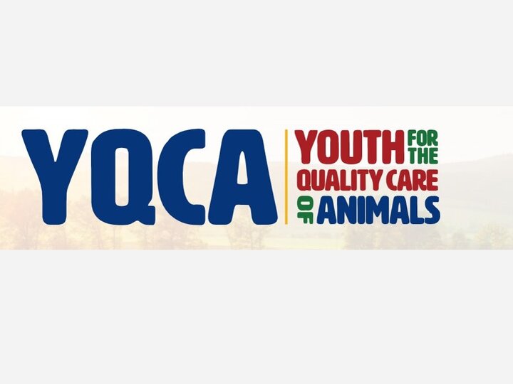 YQCA logo with text "Youth for the Quality Care of Animals" in bold colors.