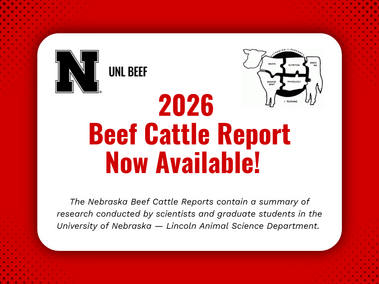 2026 Beef Report