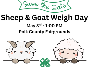 Save the date for the optional sheep and goat weigh day on May 3rd at the Polk county fairgrounds starting at 1pm
