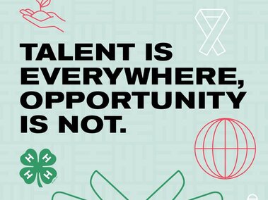 Talent is everywhere opportunity is not logo