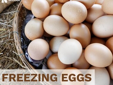 Eggs