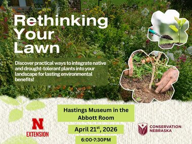 Rethinking Your Lawn Event by Rita Brhel