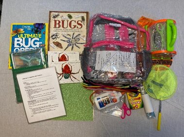 STEM Backpack items - Bugs