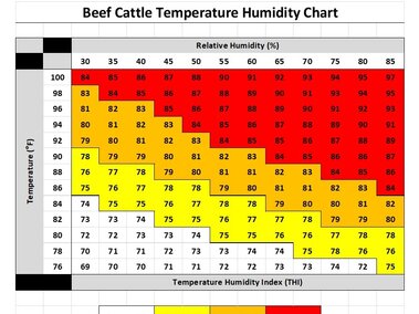 Cattle THI Chart