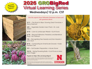 Box, Flowers, Tree Schedule of Sessions