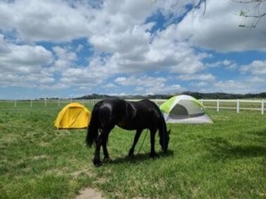 Horse Camp 