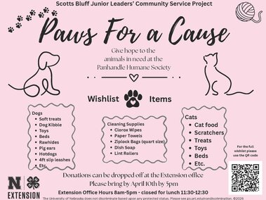 Scotts Bluff County 4-H Jr Leader Service Project Flyer