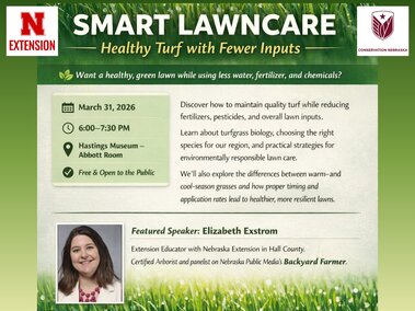 Small Lawncare Webinar March 31, by Elizabeth Exstrom