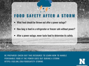 Food Safety