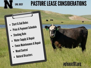 Pasture Lease Considerations