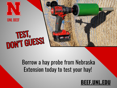 Testing Hay