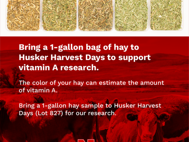 Vitamin A Research