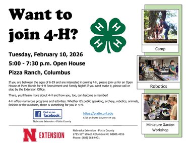 Join 4-H Today Recruitment Flyer