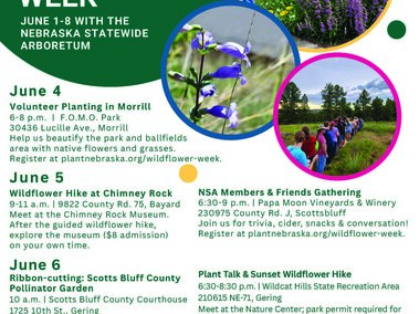 2025 Scotts Bluff County Wildflower Week Flyer