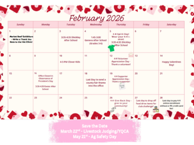 Feb 26 Fillmore County Calendar