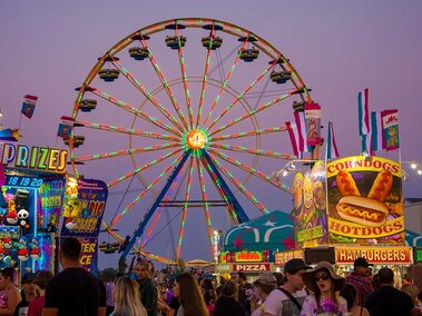 state fair 2025