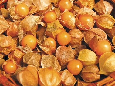 golden cherry tomato