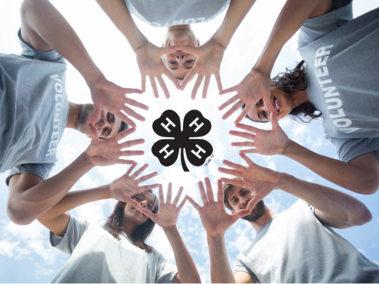 Volunteers in a huddle with the 4-H Clover in the center
